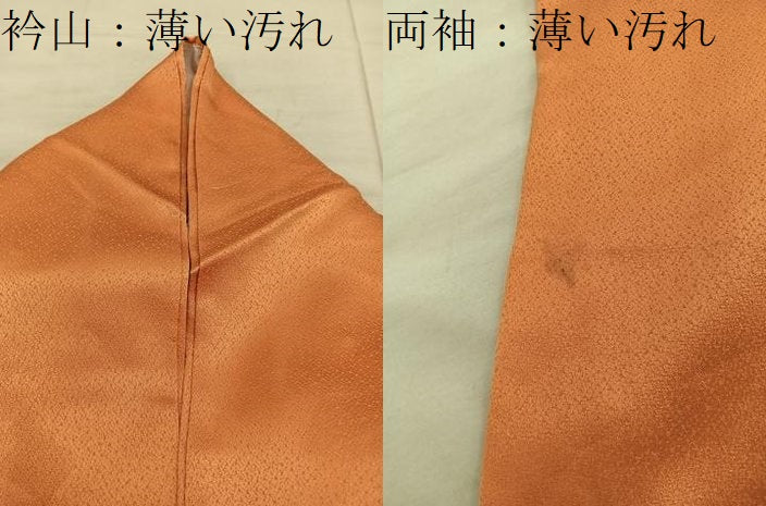 平和屋着物■訪問着 薔薇 金彩 正絹 逸品 BAAX4486mz