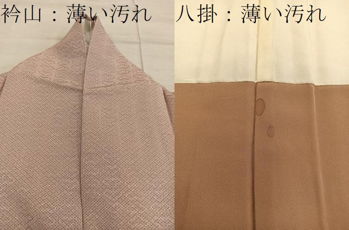 平和屋着物■江戸小紋 花菱文 正絹 逸品 BAAX4533mz