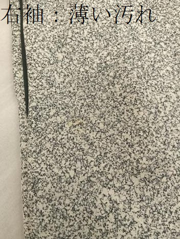 平和屋着物■訪問着 草花文 たたき染め 金彩 正絹 逸品 BAAX4896mz