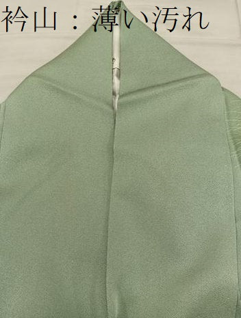 平和屋着物■訪問着 草葉文 正絹 逸品 BAAX4903mz