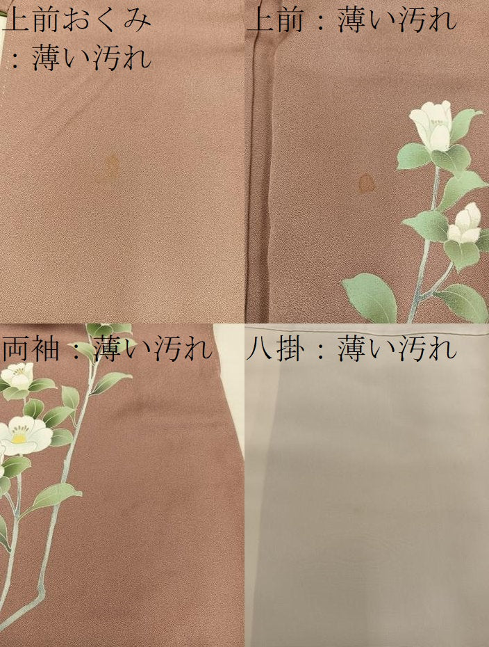 平和屋着物■訪問着 枝椿 暈し染め 金彩 正絹 逸品 BAAX5058mz