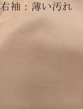 平和屋着物■上質な小紋 霞文 暈し染め 正絹 逸品 BAAX5071mz