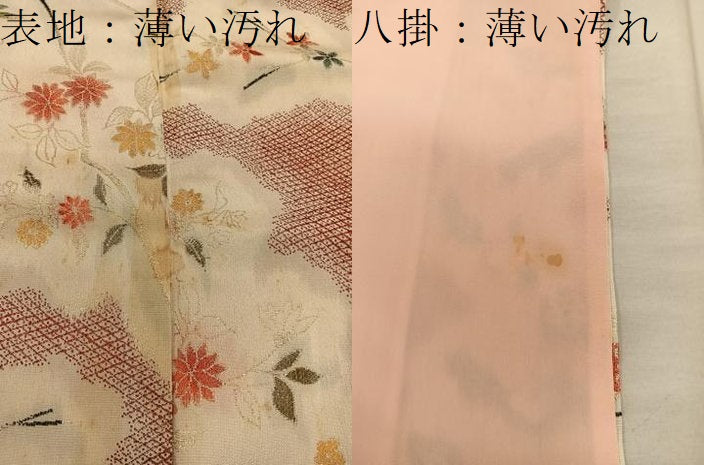 平和屋着物■上質な小紋 枝花文 寿光織 正絹 逸品 BAAX5106mz