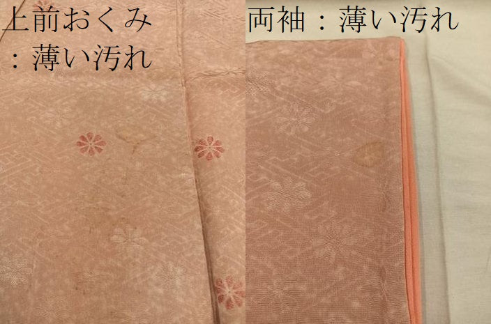 平和屋着物■上質な小紋 菊 地紋起こし 正絹 逸品 BAAX5108mz