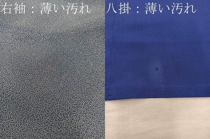 平和屋着物■江戸小紋 寄せ小紋柄 正絹 逸品 BAAX5126mz