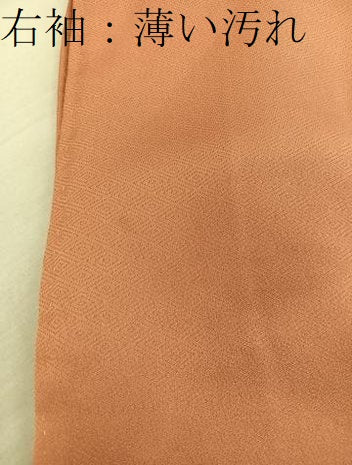 平和屋着物■豪華色留袖 飛鶴花文 暈し染め 正絹 逸品 BAAX5153mz