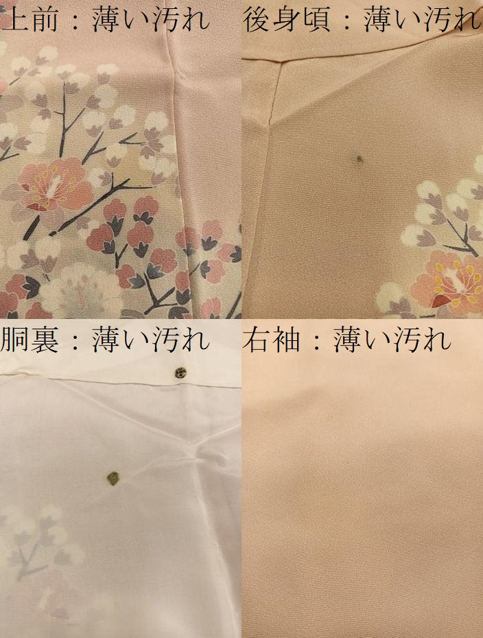 平和屋着物■訪問着 友禅 枝花文 正絹 逸品 BAAX5156mz