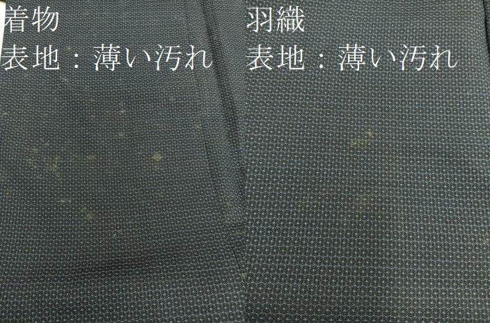 平和屋着物■男性 紬 アンサンブル 100亀甲 総詰め 正絹 逸品 BAAX5472mz