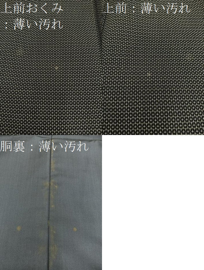 平和屋着物■男性 紬 アンサンブル 100亀甲 総詰め 正絹 逸品 BAAX5480mz