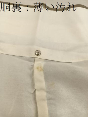 平和屋着物■色留訪問着 蓑亀 正絹 逸品 BAAX5550mz
