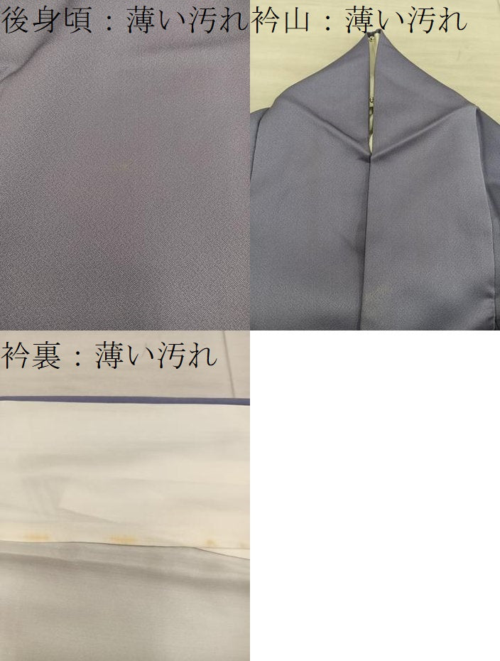 平和屋着物■訪問着 牡丹 正絹 逸品 BAAX5562mz