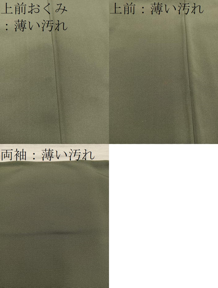 平和屋着物■訪問着 駒刺繍 草葉松文 正絹 逸品 BAAX5616mz