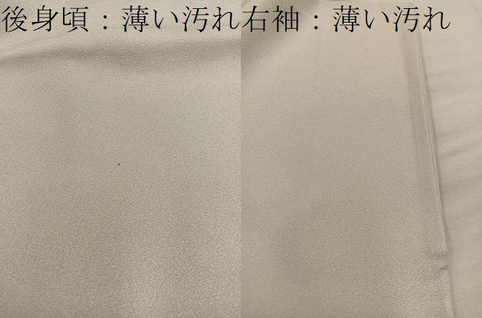 平和屋着物■豪華色留袖 寿光織 修学院離宮 暈し染め 金糸 さが美扱い 正絹 逸品 BAAX5618mz