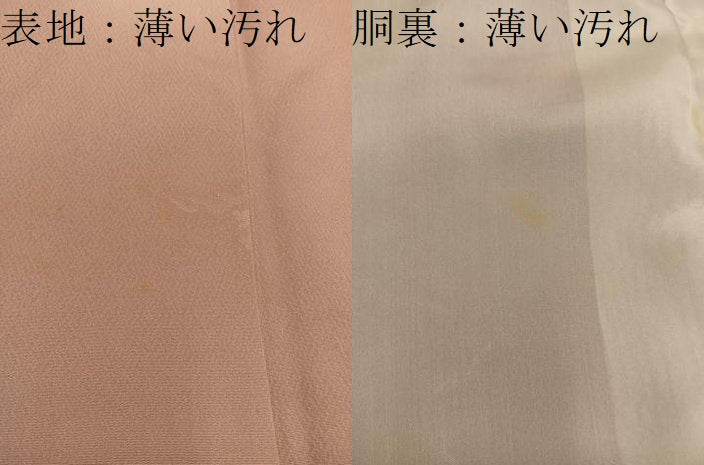平和屋着物■上質な小紋 風景地紋 蛍暈し 正絹 逸品 BAAX5686mz