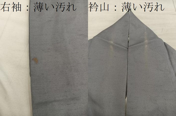 平和屋着物■訪問着 作家物 紬地 御所解文 暈し染め 正絹 逸品 BAAX5833mz