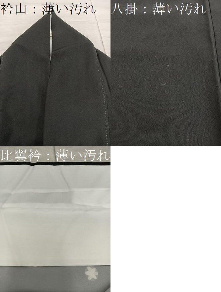 平和屋着物■豪華黒留袖 鳳凰扇面花文 金彩 正絹 逸品 BAAX5851mz
