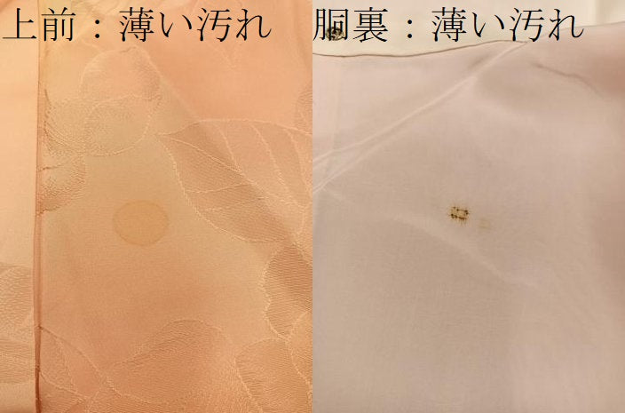 平和屋着物■上質な小紋 草花地紋 暈し染め 正絹 逸品 BAAX5866mz