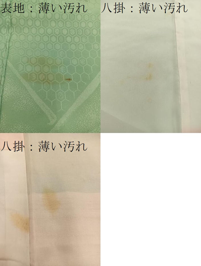 平和屋着物■上質な小紋 寿光織 菊花文 金糸 正絹 逸品 BAAX5906mz