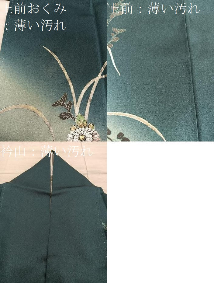平和屋着物■訪問着 菊花文 暈し染め 金銀彩 正絹 逸品 BAAX5963mz