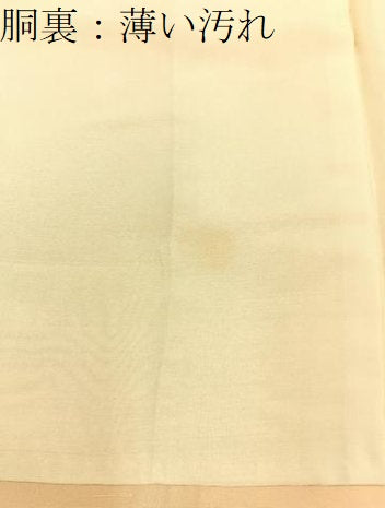 平和屋着物■上質な色無地 仕覆地紋 杏色 正絹 逸品 BAAX6223hj