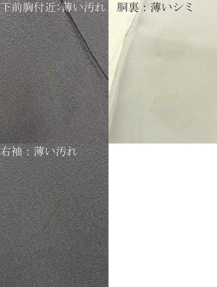 平和屋着物■上質な色無地 紋意匠 竜胆色 正絹 逸品 BAAX6227hj