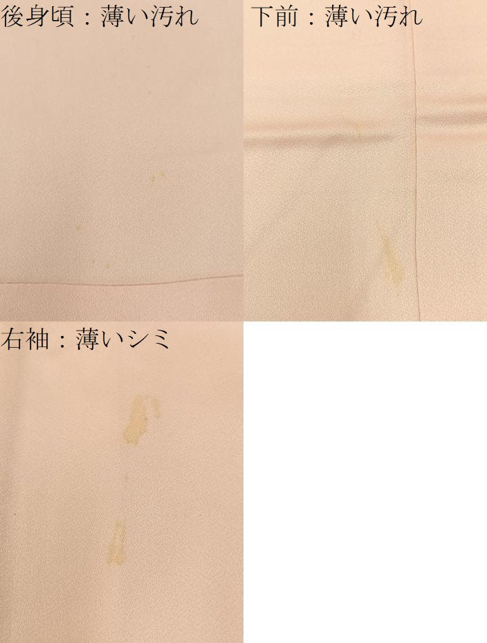 平和屋着物■訪問着 孔雀花文 暈し染め 金銀彩 ロング丈 正絹 逸品 BAAX6517hj
