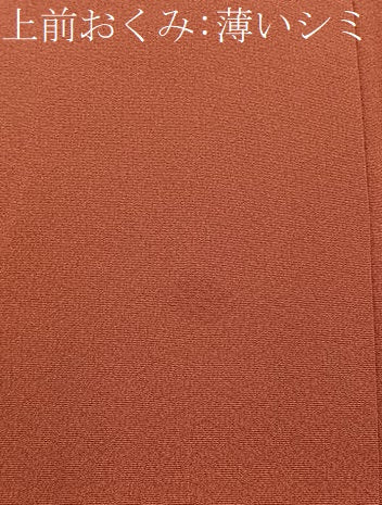 平和屋着物■訪問着 草花文 暈し染め 金彩 正絹 逸品 BAAX6711hj