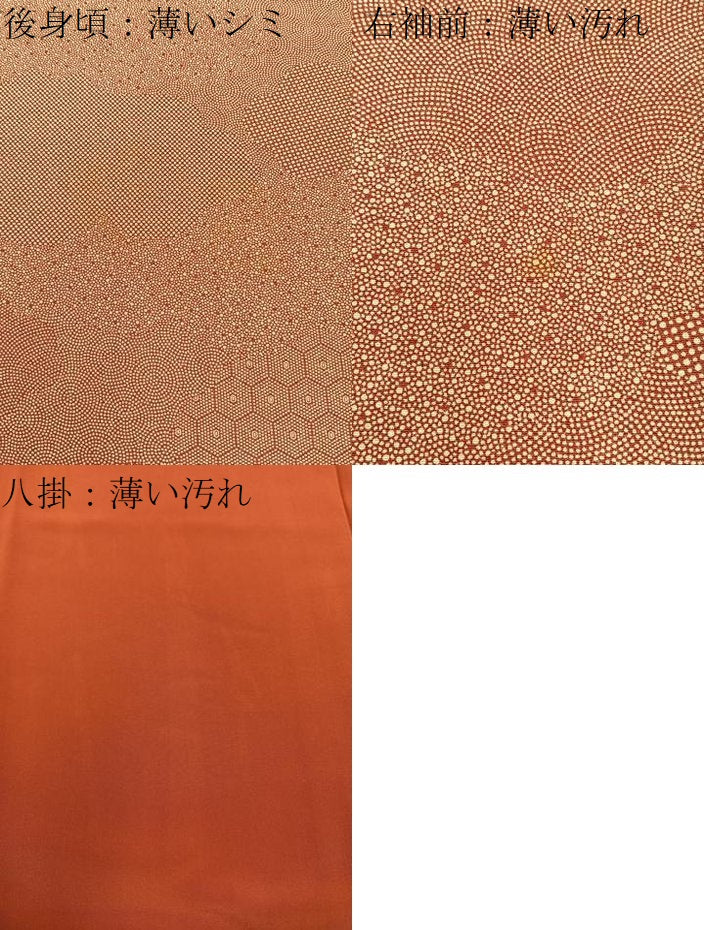 平和屋着物■江戸小紋 雲取寄せ小紋柄 正絹 逸品 未使用 BAAX6733hj