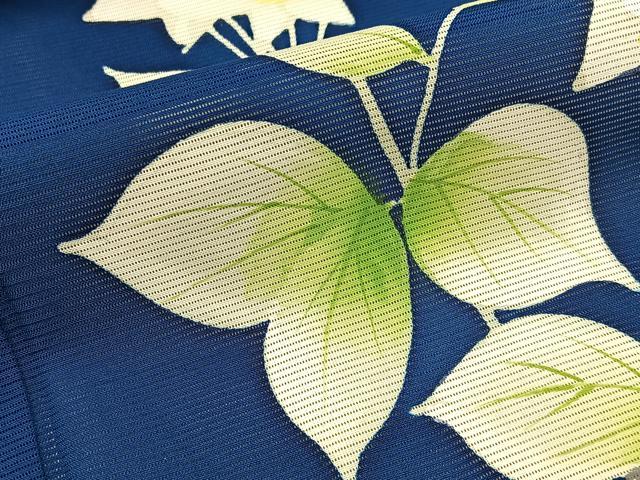 平和屋着物*夏物 訪問着 絽 桔梗 ロング丈 正絹 逸品 未使用 BAAX6932hj
