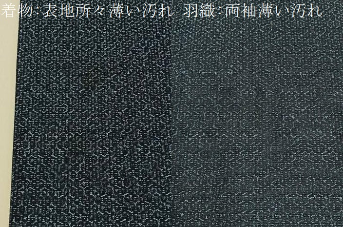 平和屋着物■男性 紬 アンサンブル 亀甲文様 羽裏:富士 正絹 逸品 BAAX6997hj