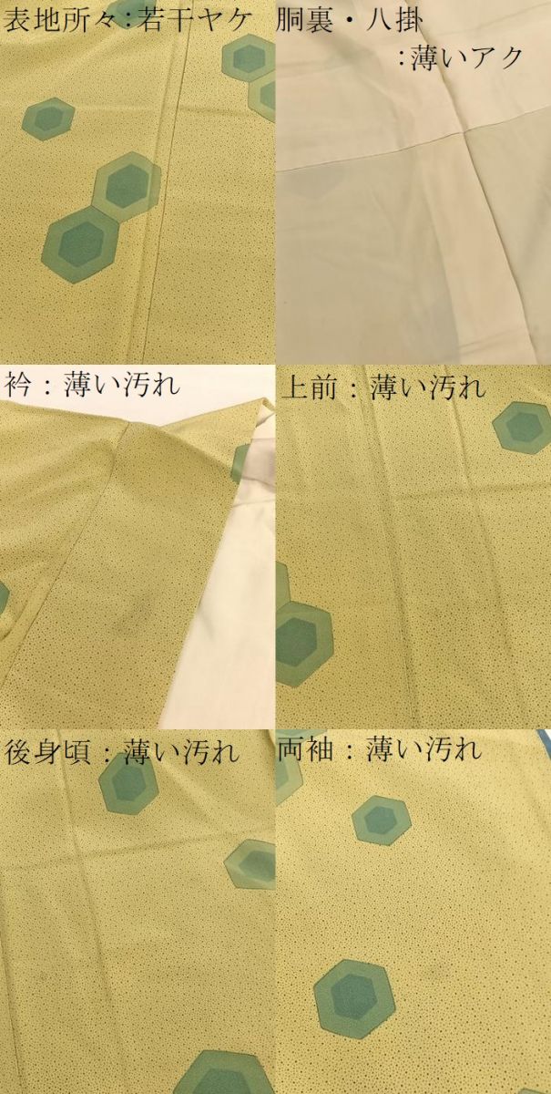 平和屋着物■上質な小紋 亀甲文 正絹 逸品 BAAX7077hv