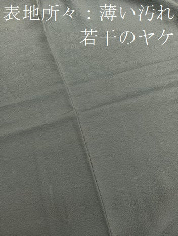 平和屋着物■上質な色無地 山鳩色 正絹 逸品 BAAX7147hv