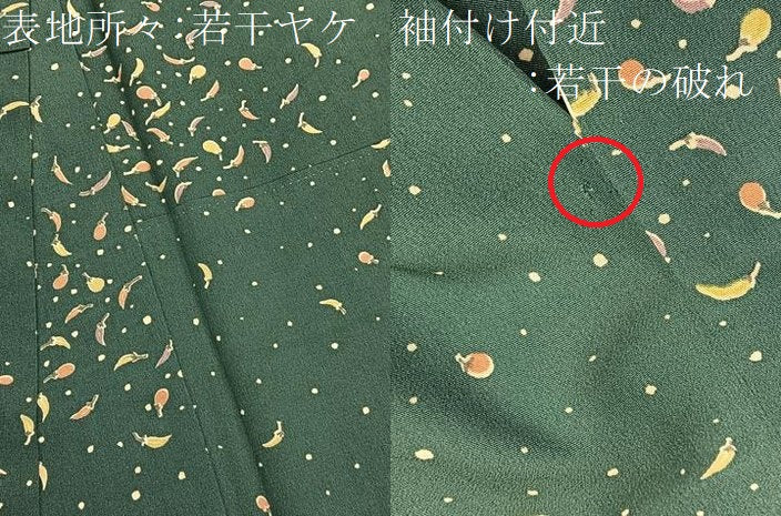 平和屋着物■上質な小紋 成り物 茄子に唐辛子 正絹 逸品 BAAX7151hv