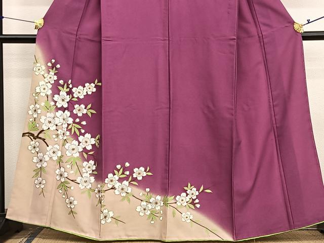 平和屋着物■訪問着 胴抜き仕立て 枝桜 金彩 洗える着物 BAAX7187hv