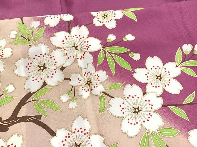 平和屋着物■訪問着 胴抜き仕立て 枝桜 金彩 洗える着物 BAAX7187hv