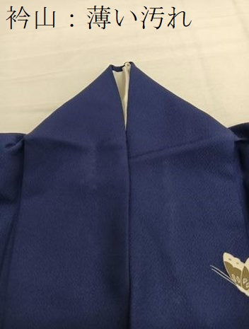 平和屋着物■訪問着 舞蝶文 正絹 逸品 BAAX7192hv
