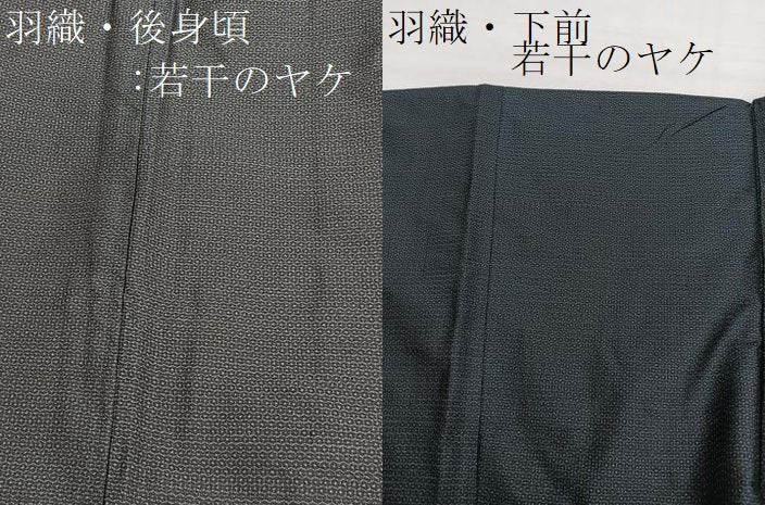 平和屋着物■男性 本場大島紬 アンサンブル 80亀甲 総詰め 正絹 逸品 BAAX7330hv