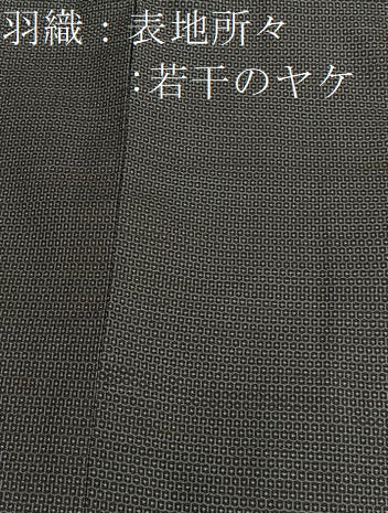 平和屋着物■男性 本場大島紬 アンサンブル 100亀甲 総詰め 正絹 逸品 BAAX7332hv
