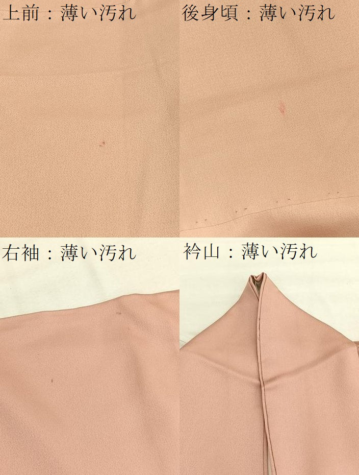 平和屋着物■訪問着 飛鶴樹林文 暈し染め 金彩 正絹 逸品 BAAX7345hv