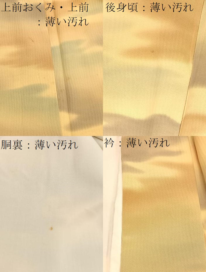平和屋着物■上質な小紋 瑞雲 暈し染め 正絹 逸品 BAAX7361hv