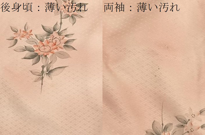 平和屋着物■訪問着 手描き 枝花文 暈し染め 正絹 逸品 未使用 BAAX7370hv
