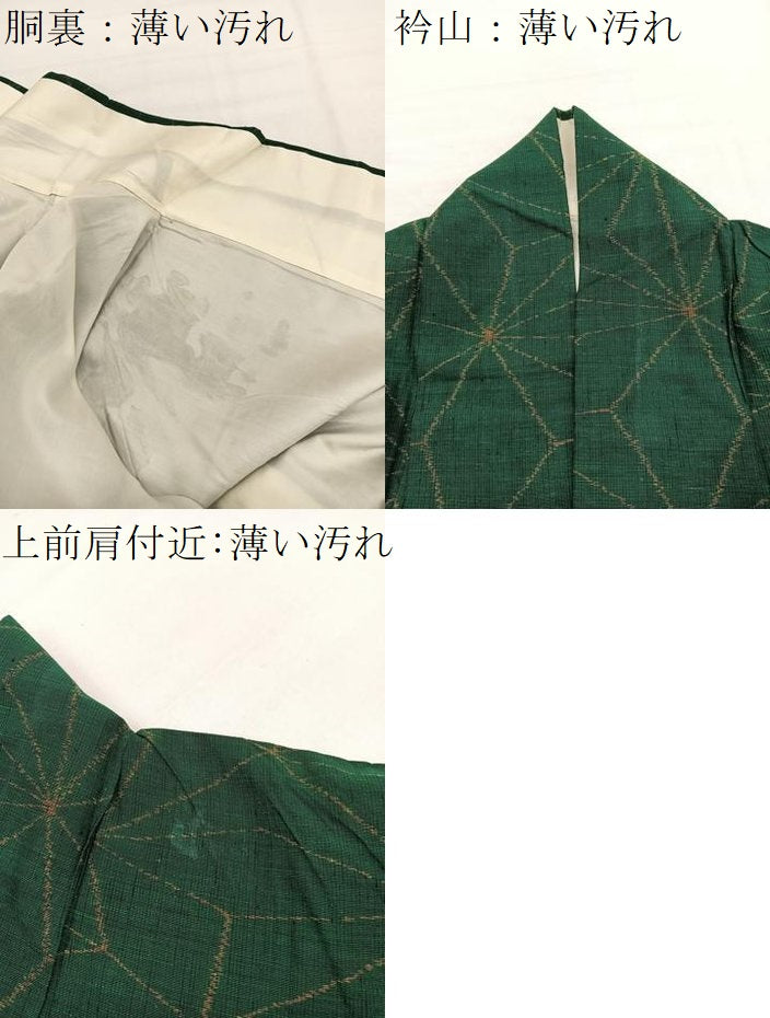 平和屋着物■上質な紬 麻の葉文 正絹 逸品 BAAX7375hv