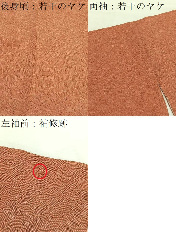 平和屋着物■江戸小紋 立波文 正絹 逸品 BAAX7387hv