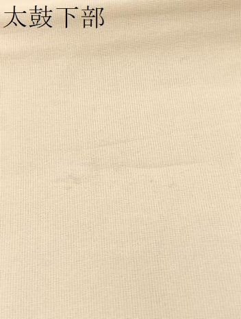 平和屋着物*夏物 太鼓柄袋帯 手描き 笹竹萩文 正絹 逸品 BAAX7804hv