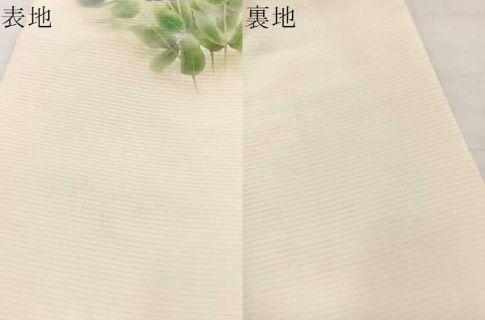 平和屋着物*夏物 絽塩瀬 九寸名古屋帯 作家物 草花文 金彩 正絹 逸品 BAAX7942hv