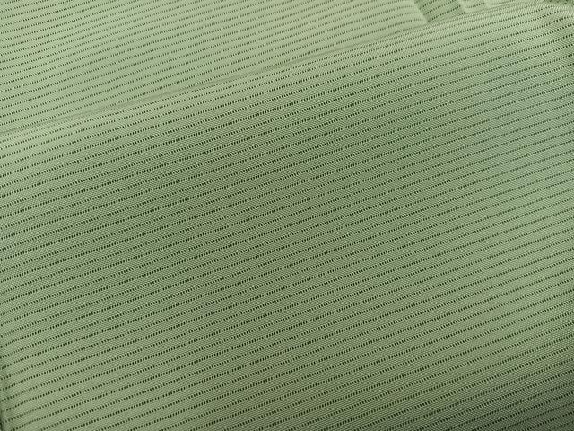 平和屋着物*夏物 色無地 絽 若苗色 正絹 逸品 BAAX8114mz