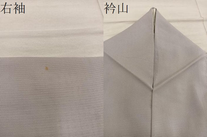平和屋着物*夏物 訪問着 絽 草葉文 暈し染め 正絹 逸品 BAAX8135mz