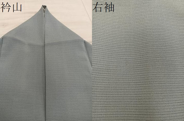 平和屋着物*夏物 訪問着 絽 友禅 草花文 正絹 逸品 BAAX8138mz