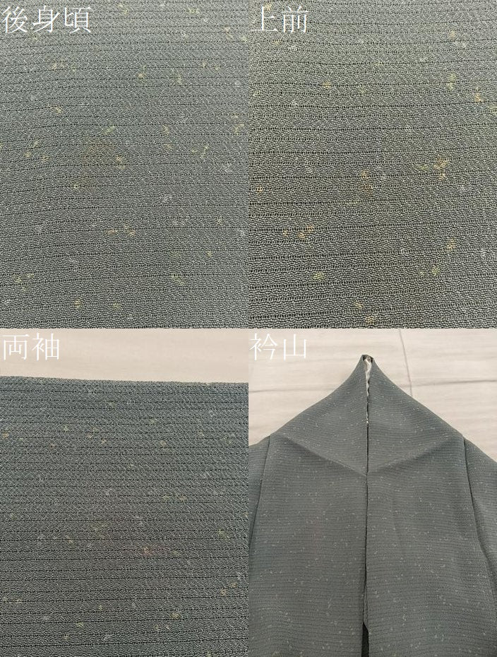 平和屋着物*夏物 小紋 絽縮緬 幾何学文様 正絹 逸品 BAAX8152mz