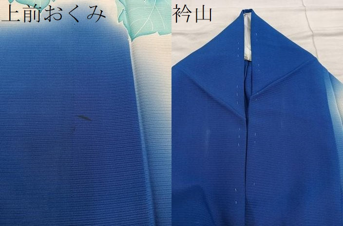 平和屋着物*夏物 訪問着 絽 草花文 暈し染め 銀彩 正絹 逸品 BAAX8155mz
